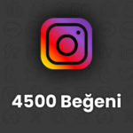 4500-begeni