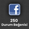 Facebook 250 Türk Durum Beğenisi