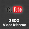 Youtube 2500 Video İzlenme