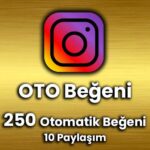 250oto İnstagram 250 Türk OTOMATİK Beğeni